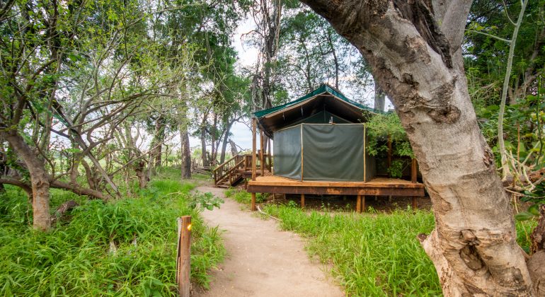 Moremi Crossing Tent