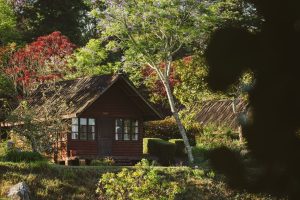Mufindi Highlands Lodge Log Cabin