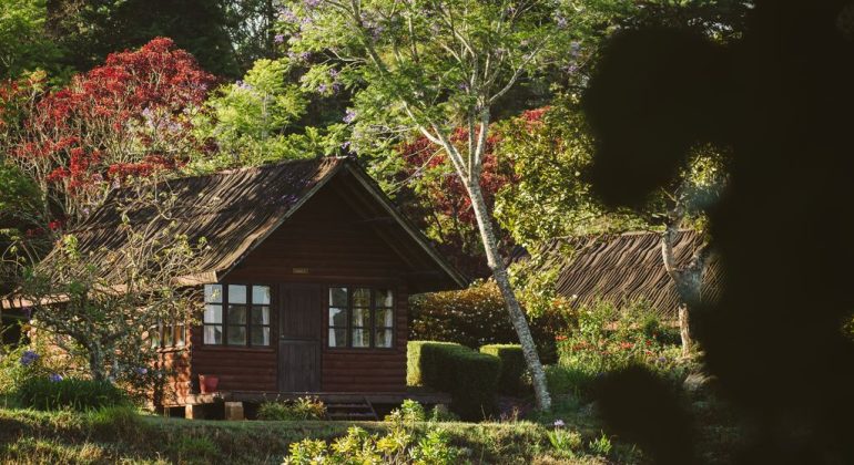 Mufindi Highlands Lodge Log Cabin