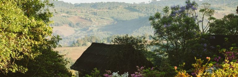 Mufindi Highlands Lodge View