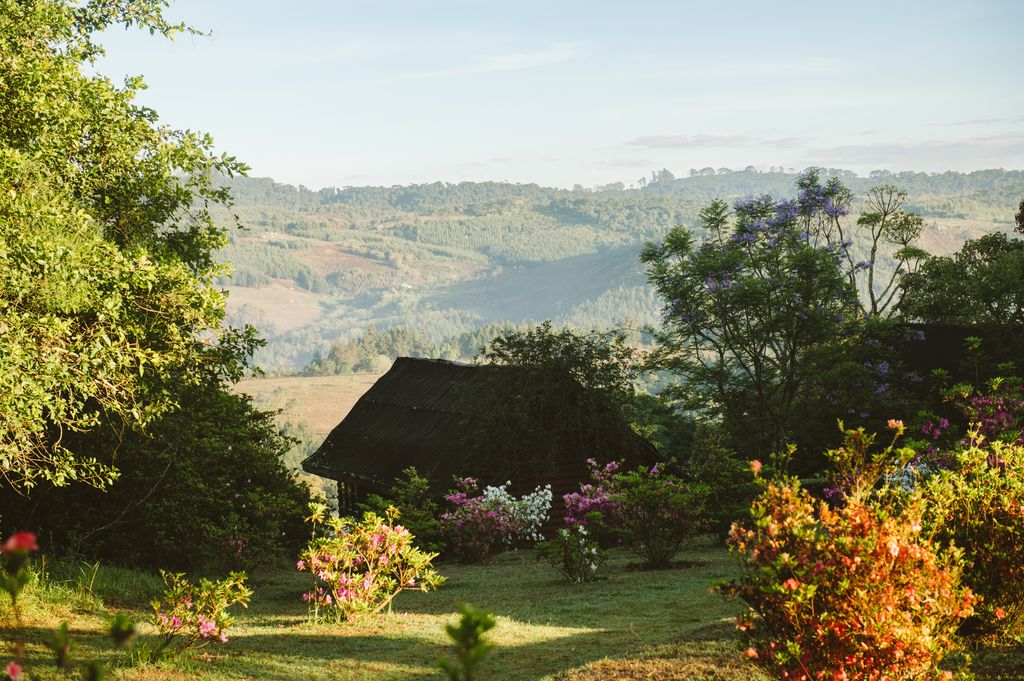 Mufindi Highlands