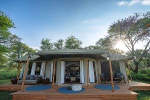 Naona Moru Camp Tent