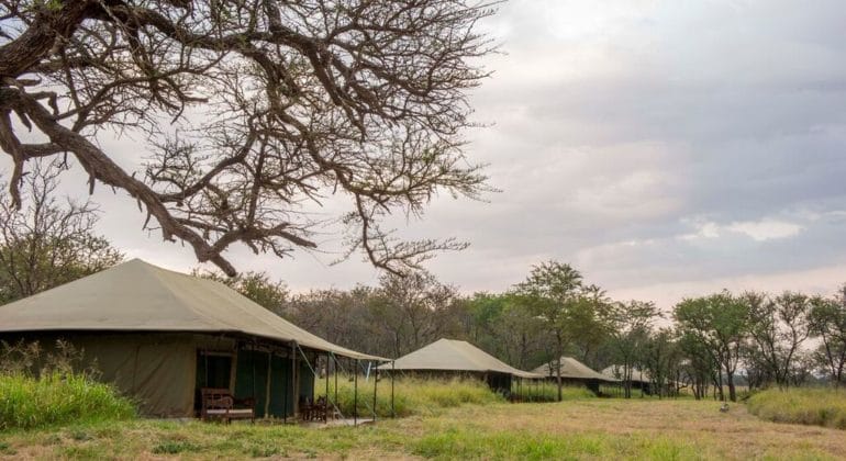 Naona Moru Camp Tent Overview