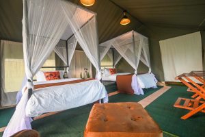 Nasikia Mobile Camp Tent Interiors