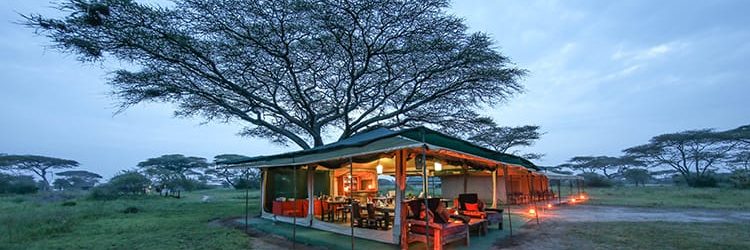 Nasikia Mobile Migration Camp Dining Tent