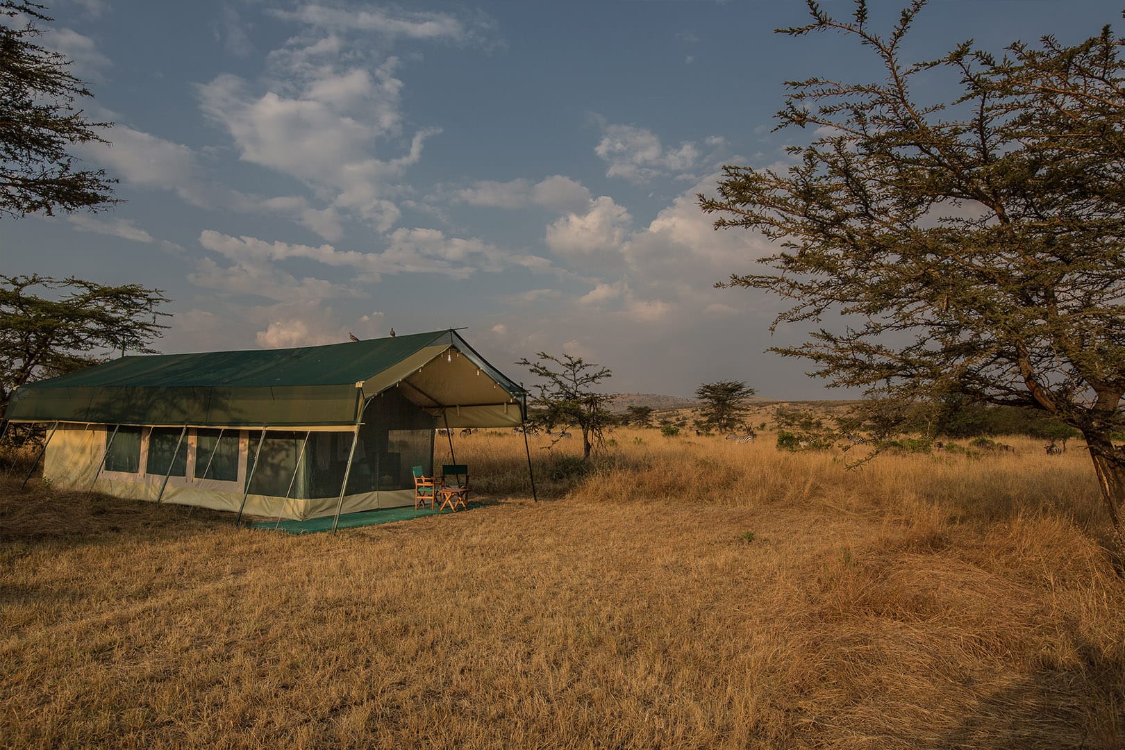 Nasikia Mobile Migration Camp Tent