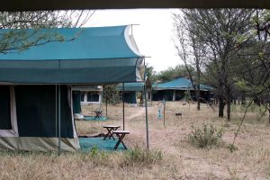 Nasikia Mobile Migration Camp Tents