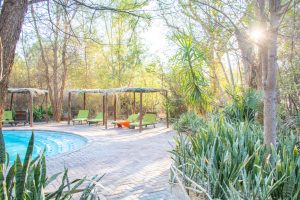 Nata Lodge Pool