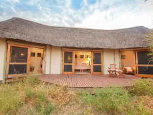 Nxai Pan Camp Rooms