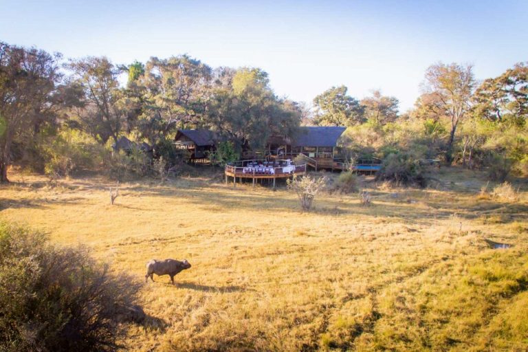 Rra Dinare, Okavango Delta, Botswana