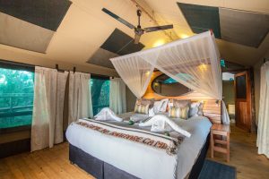 Rra Dinare Camp Luxury Room 5