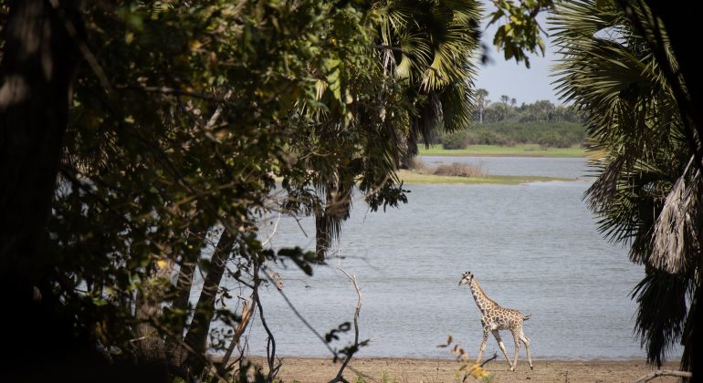 Siwandu View From Tented Suites
