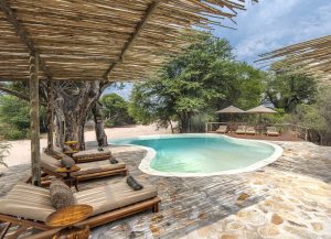 Swimming Pool Laba Jongomero Camp