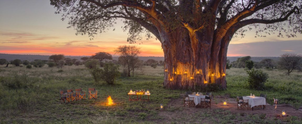 Tarangire Ndovu Camp, Tanzania