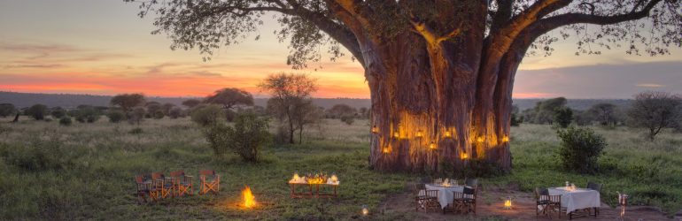 Tarangire Ndovu Tented Lodge Outdoor Dining