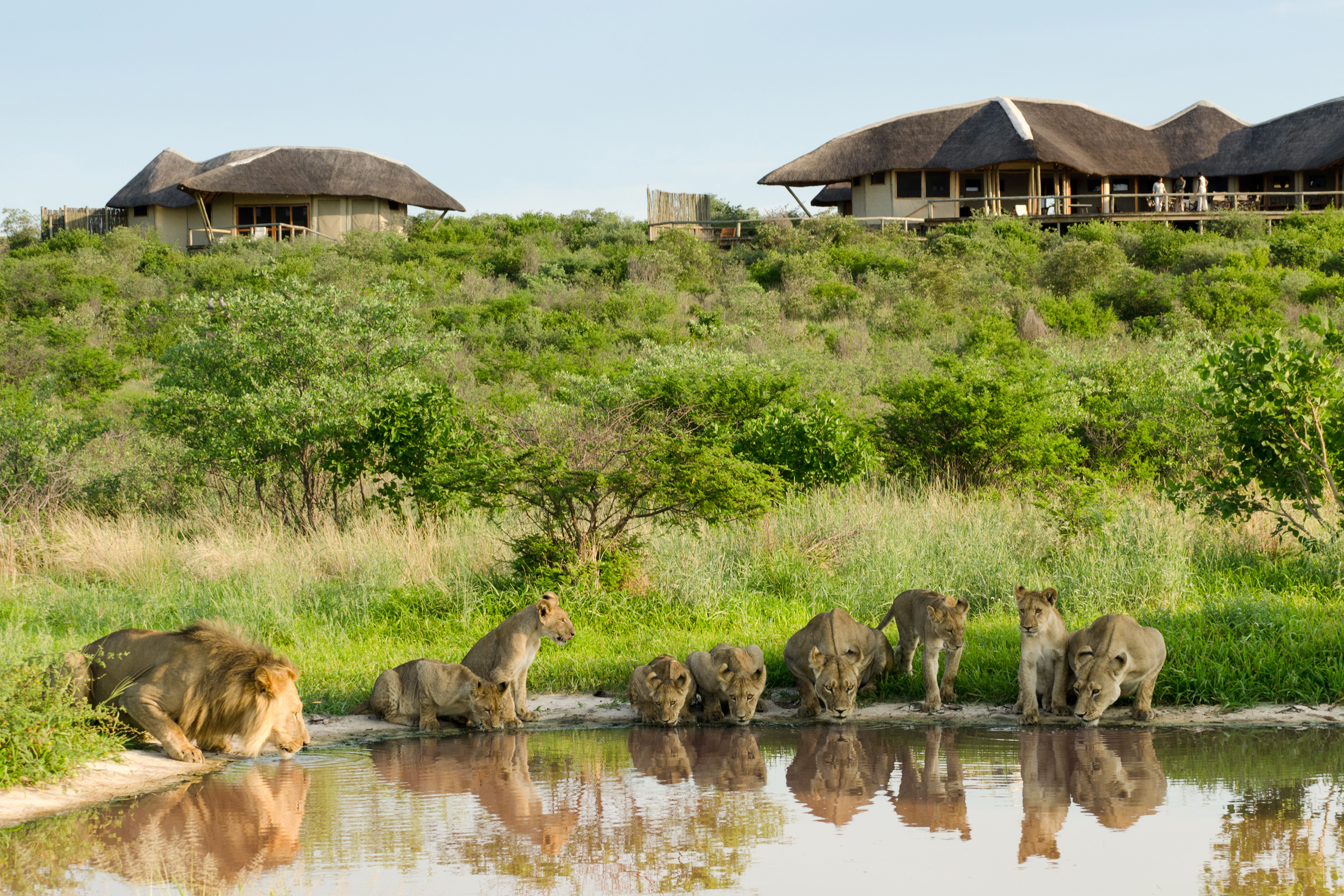 Kwando Tau Pan Camp, Central Kalahari Game Reserve, Botswana
