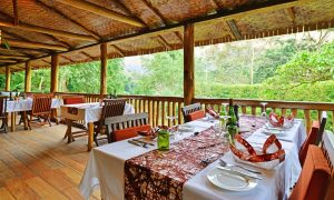 Uganda Accomm Buhoma Lodge Dining 2