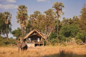 Belmond Eagle Island Lodge View