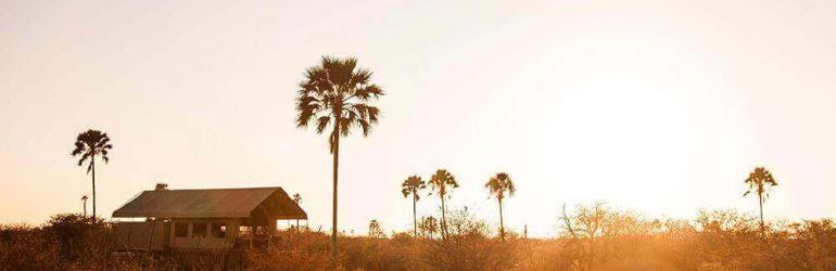 Camp Kalahari Tent