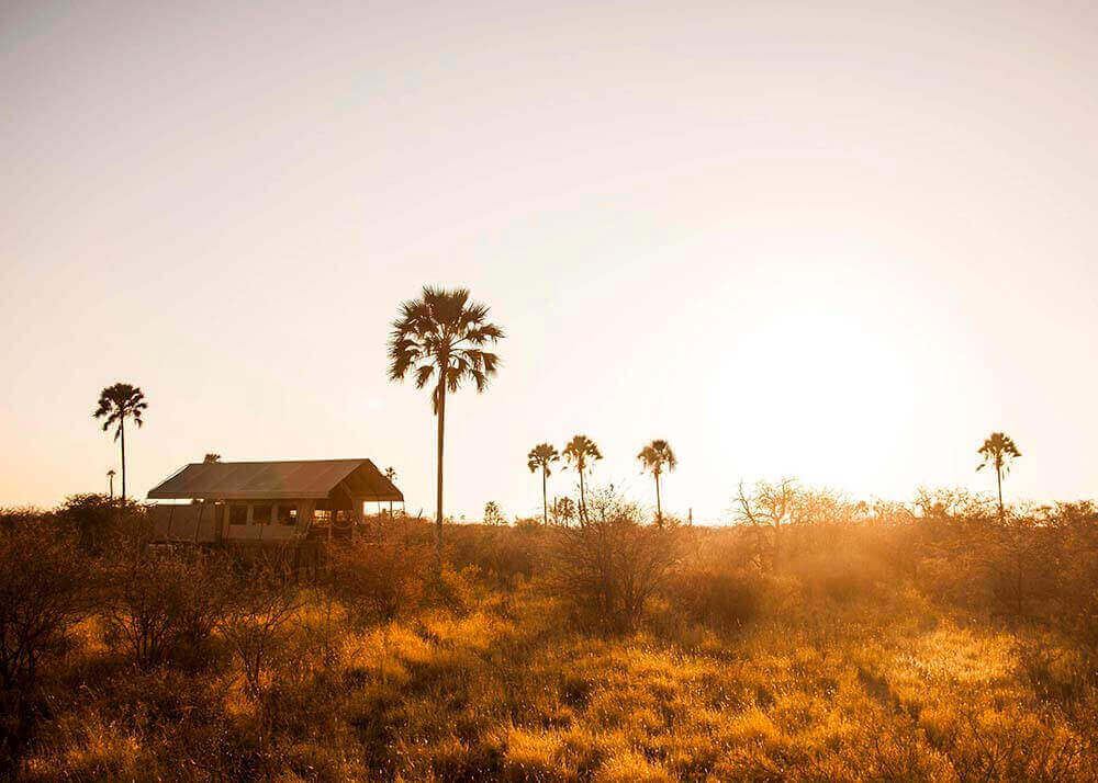 Camp Kalahari Tent