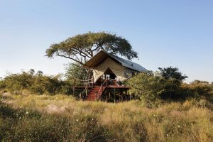 Camp Kalahari Tent
