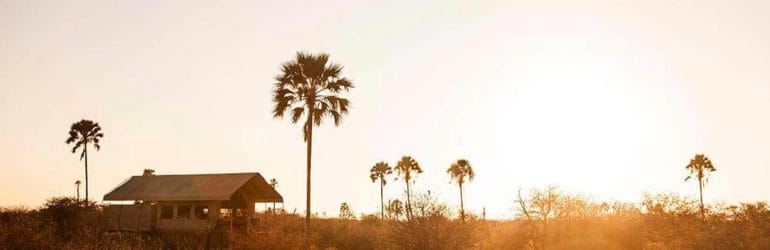 Camp Kalahari View