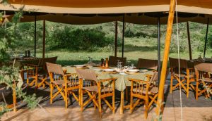 Camp Zebra Dining Tent