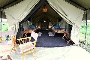Camp Zebra Tent Exterior