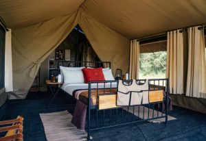 Camp Zebra Tent Interiors