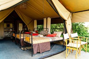 Camp Zebra Tent View