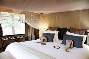 Chisomo Safari Camp Room