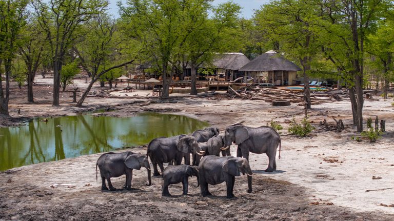Elephant Pan Outdoors