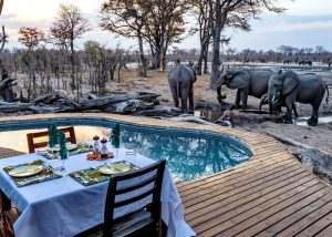 Elephant Pan Splash Pool