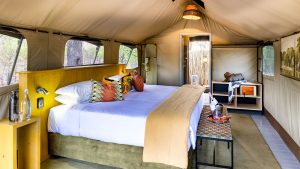 Elephant Pan Tent Interior