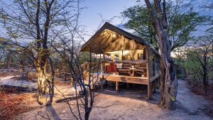Elephant Pan Tent View
