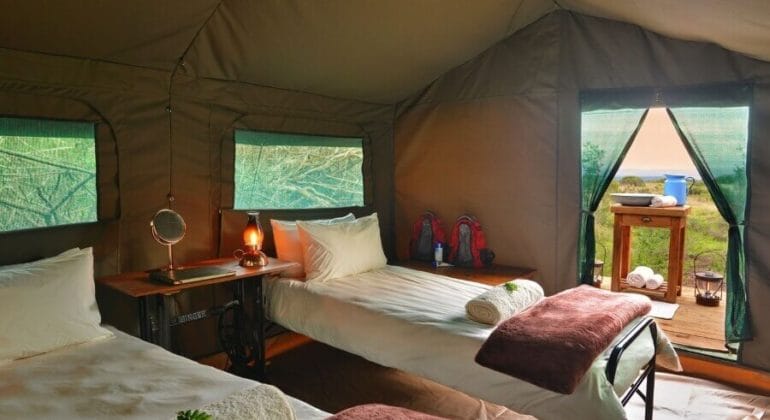 Explorer Camp Bedroom
