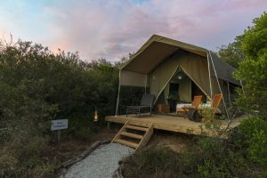 Explorer Camp Tent