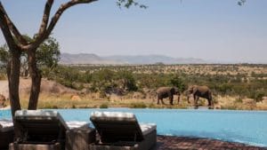 Four Seasons Serengeti Pool