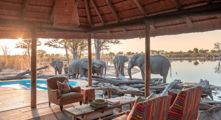 Hyena Pan Sitting Area