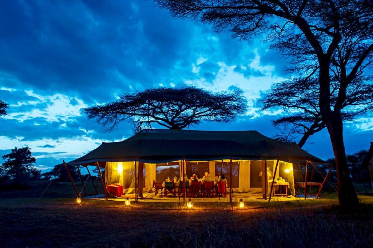 Intimate Camps Tent At Night