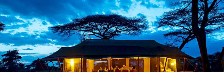 Intimate Places Tented Camp – ZAMAG Tours and Safaris – Agricultural Tour  Operators and Ground Handlers