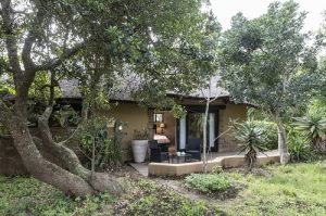 Kariega River Lodge Suite