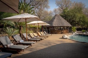 Karongwe Shiduli Safari Lodge Pool