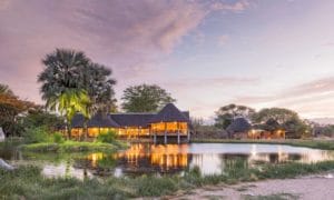 Onguma Bush Camp Overview
