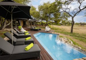 Onguma Tented Camp Pool