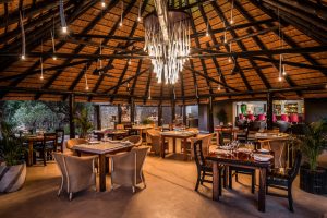 Sabi Bush Lodge Dining