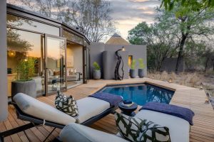 Sabi Bush Lodge Pool