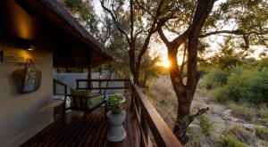 Sabi Little Bush Camp Deck