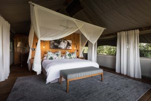 Sable Alley Tent Interior