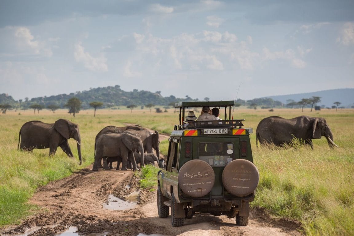 Serengeti Pioneer Camp Game Drive